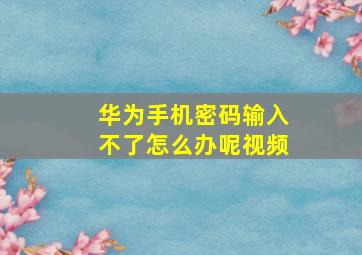 华为手机密码输入不了怎么办呢视频