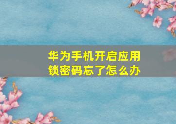 华为手机开启应用锁密码忘了怎么办