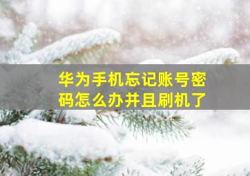 华为手机忘记账号密码怎么办并且刷机了