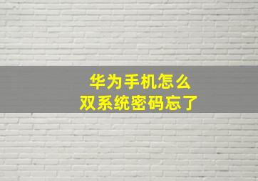 华为手机怎么双系统密码忘了