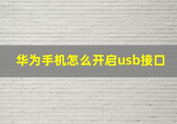 华为手机怎么开启usb接口