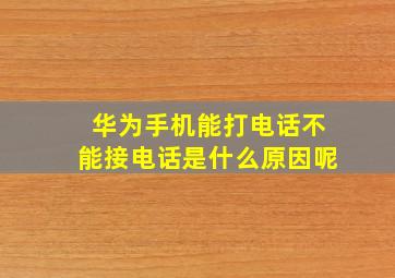 华为手机能打电话不能接电话是什么原因呢