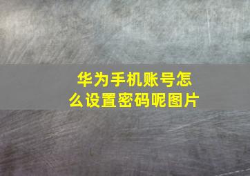 华为手机账号怎么设置密码呢图片