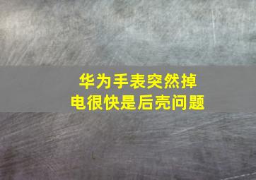 华为手表突然掉电很快是后壳问题