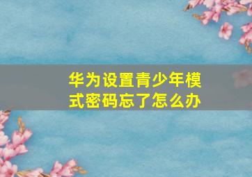 华为设置青少年模式密码忘了怎么办