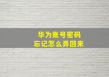 华为账号密码忘记怎么弄回来