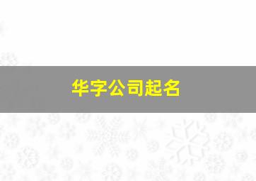 华字公司起名