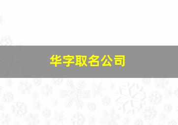 华字取名公司