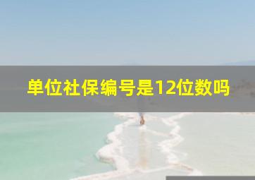 单位社保编号是12位数吗