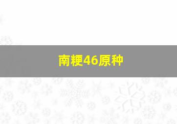 南粳46原种