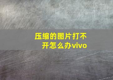 压缩的图片打不开怎么办vivo