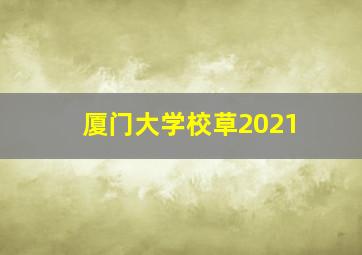 厦门大学校草2021