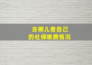 去哪儿查自己的社保缴费情况