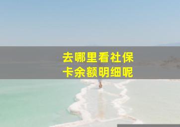 去哪里看社保卡余额明细呢