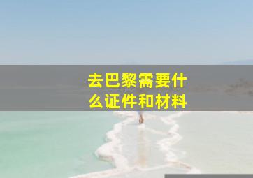 去巴黎需要什么证件和材料