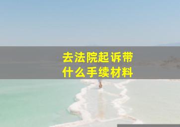 去法院起诉带什么手续材料