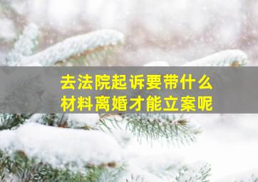 去法院起诉要带什么材料离婚才能立案呢