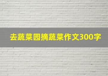 去蔬菜园摘蔬菜作文300字