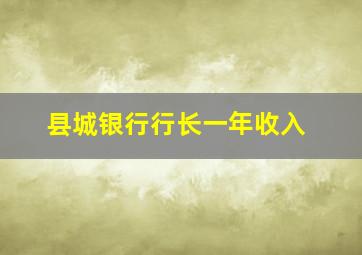 县城银行行长一年收入