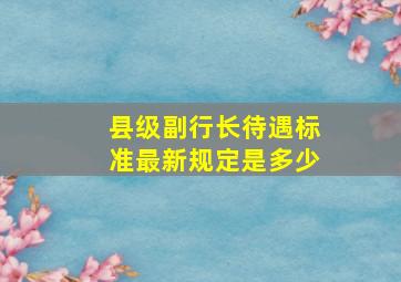 县级副行长待遇标准最新规定是多少