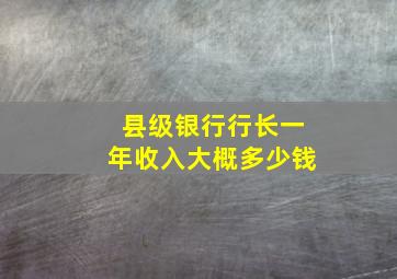 县级银行行长一年收入大概多少钱