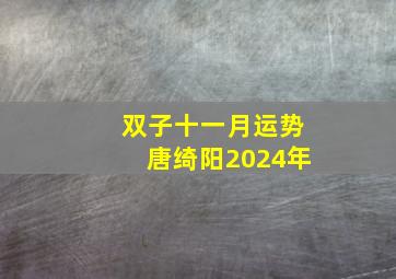 双子十一月运势唐绮阳2024年