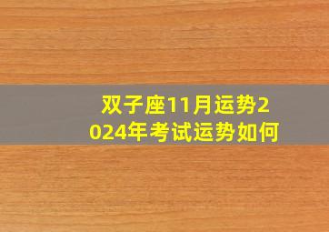 双子座11月运势2024年考试运势如何