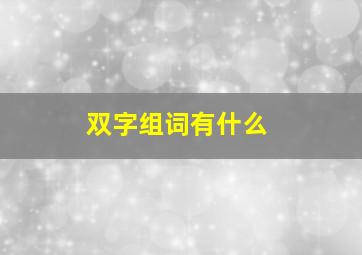 双字组词有什么