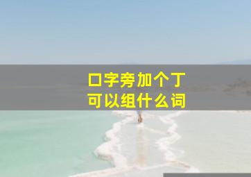 口字旁加个丁可以组什么词