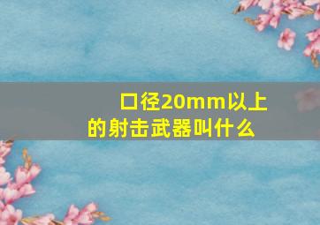 口径20mm以上的射击武器叫什么