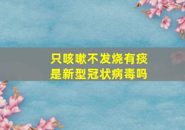 只咳嗽不发烧有痰是新型冠状病毒吗