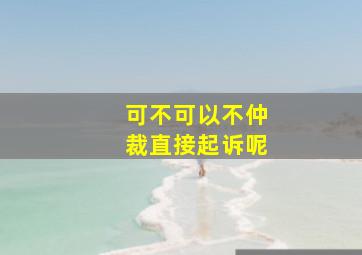 可不可以不仲裁直接起诉呢