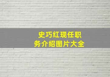 史巧红现任职务介绍图片大全