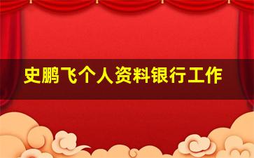 史鹏飞个人资料银行工作