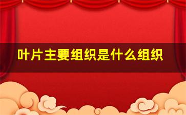 叶片主要组织是什么组织