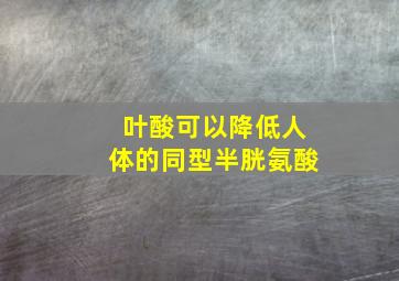 叶酸可以降低人体的同型半胱氨酸