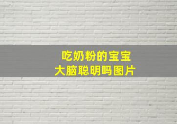 吃奶粉的宝宝大脑聪明吗图片