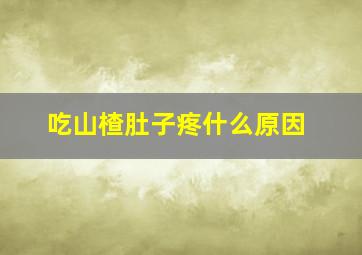 吃山楂肚子疼什么原因