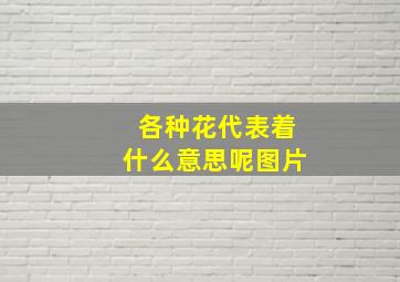 各种花代表着什么意思呢图片