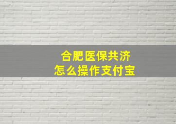 合肥医保共济怎么操作支付宝