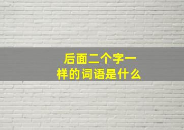 后面二个字一样的词语是什么