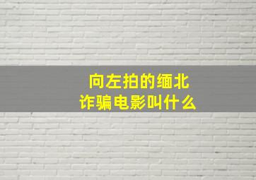 向左拍的缅北诈骗电影叫什么