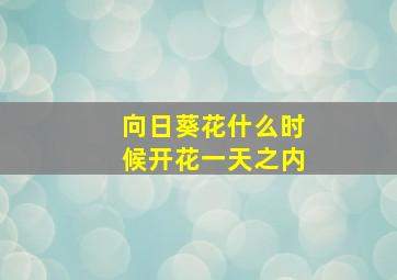 向日葵花什么时候开花一天之内