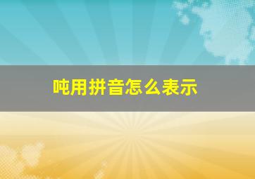 吨用拼音怎么表示