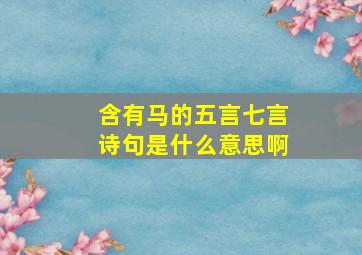 含有马的五言七言诗句是什么意思啊