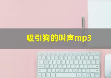 吸引狗的叫声mp3