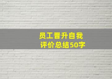 员工晋升自我评价总结50字