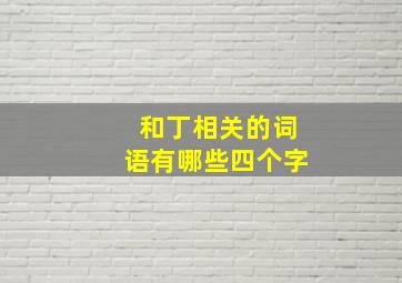 和丁相关的词语有哪些四个字