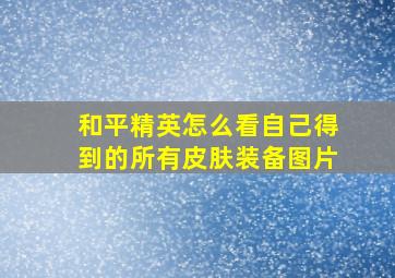 和平精英怎么看自己得到的所有皮肤装备图片