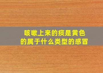 咳嗽上来的痰是黄色的属于什么类型的感冒